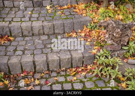 Autumn leaves on a staircase made of basalt paving stones Stock Photo