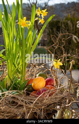 Colorful easter eggs in straw nest with spring flowers Stock Photo