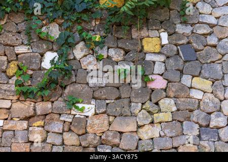 Stone wall with ivy. Greece, Crete, Chania, Old Town. Stock Photo