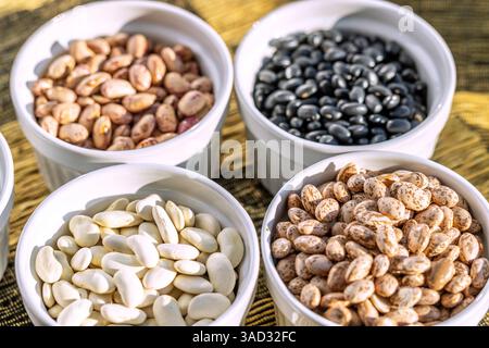 Dried pulses: Quail beans, black beans, white beans, borlotti beans Stock Photo