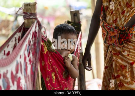 Tea Package Tutorial An Indian farming family takes a tea break while harvesting damaged ...