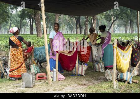 Tea Package Tutorial An Indian farming family takes a tea break while harvesting damaged ...