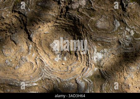 Intricate shapes caused by the erosion of water on the stones. Abstract background and texture. Stock Photo