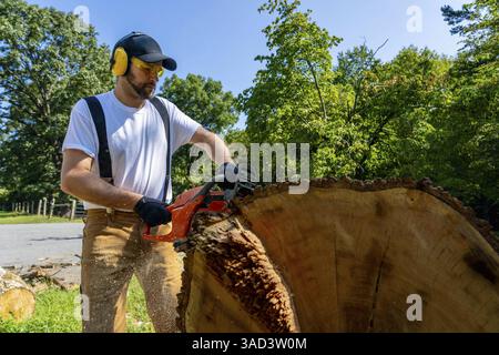 A robust young man wields a chainsaw, skillfully cutting wood on his property. He clears the land while preparing a vital winter supply, turning effor Stock Photo
