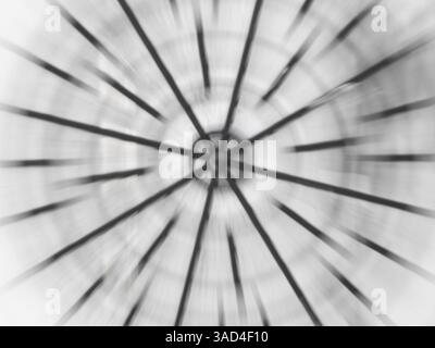 Abstract motion blur with black lines and white background. Stock Photo