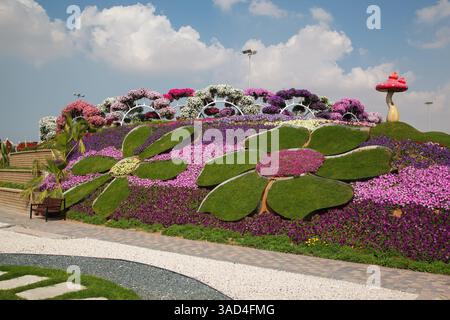 The beautiful colorful flowers and design inside the famous Miracle Garden in Dubai United Arab Emirates Stock Photo