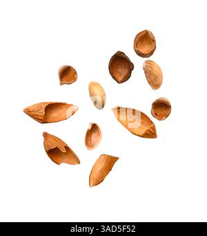 Cracked empty nutshell pistachio, hazelnut, almond isolated on white, clipping path Stock Photo