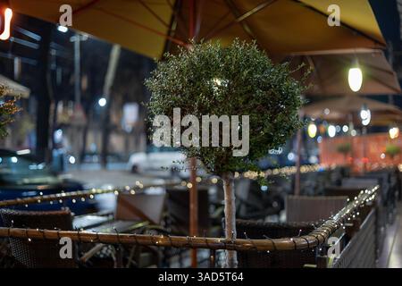 An inviting outdoor cafe in Turin, Italy, glows with string lights and umbrella lamps at night, creating a cozy urban ambiance. Stock Photo