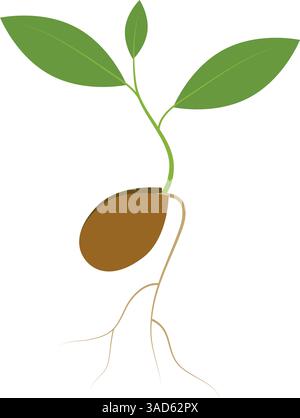 Simple sprouting seed drawing. Green cartoon sprout vector illustration. Stock Vector