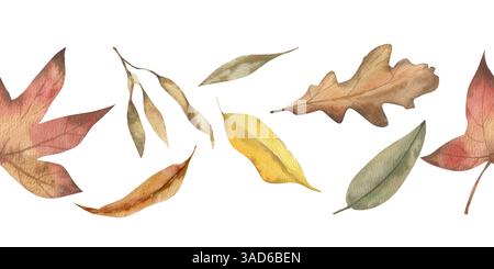 Autumn floral seamless border with dry colorful leaves watercolor illustration. Isolated banner with fall botanical elements in pastel colors,forest a Stock Photo