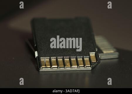 Two SD memory cards on laptop, closeup Stock Photo