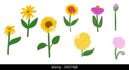 Autumn, summer flowers, sunflower isolated, yellow, pink flowers Stock Vector