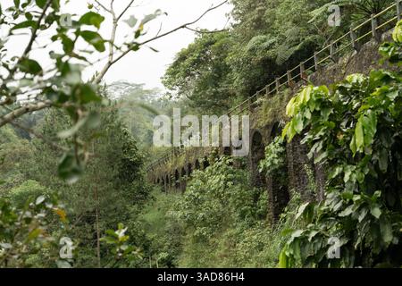old stone bridge covered with moss, view from below, and mysterious old path on the forest Stock Photo
