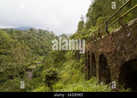 side view of Beautiful Moss Covered old Stone Bridge on the middle of lush green forest Stock Photo