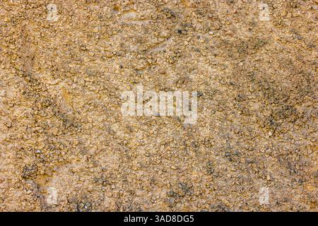 rugged beige concrete wall texture with pebbles Stock Photo
