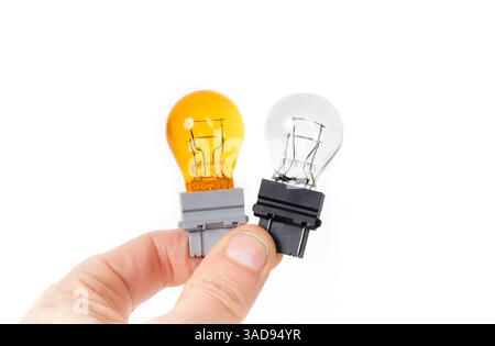 Turn signal light types for car headlight. Woman hand holding yellow and clear miniature lightbulb. Burned out yellow light. Turn signal bulb or indic Stock Photo