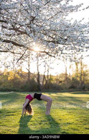 woman is practicing yoga near blossom tree Stock Photo