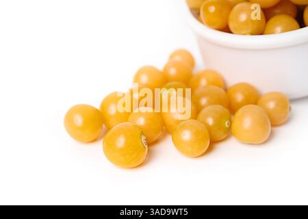 Physalis fruits with measuring cup . Ground cherry or golden cherry harvest. Many yellow orange cherries. Aunt Molly’s ground cherry harvest. Poha ber Stock Photo