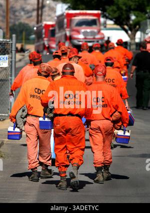 Calfire Inmate Program California Department of Corrections inmate fire fighter tools sit in a ...