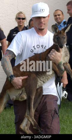 Nov 19, 2004; Port St. Lucie, FL, USA; Former rapper VANILLA ICE, aka ROBERT VAN WINKLE, springs his buddies, Pancho the goat and Bucky Buckaroo, a Wallaroo, from this animal control center in Port St. Lucie, FL. The animals were picked up after escaping from VAN WINKLE'S property after a gate was left open. Van Winkle, who lacks the proper permit for Bucky, found a friend with permits who can house the wallaroo temporarily..  (Credit Image: Kelly Owen/ZUMAPRESS.com) Stock Photo