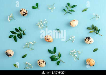 Spotted quail eggs with green leaves and white flowers on blue pastel background. Easter concept. Top view, flat lay. Stock Photo