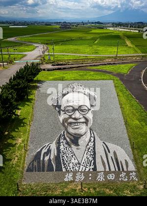 rice field art Inakadate Village Observatory, in Aomori, Japan Stock ...