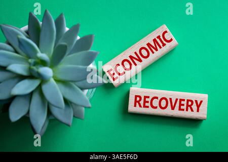 Economic recovery symbol. Concept words Economic recovery on wooden blocks. Beautiful green background with succulent plant. Business and Economic rec Stock Photo
