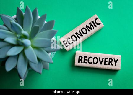 Economic recovery symbol. Concept words Economic recovery on wooden blocks. Beautiful green background with succulent plant. Business and Economic rec Stock Photo