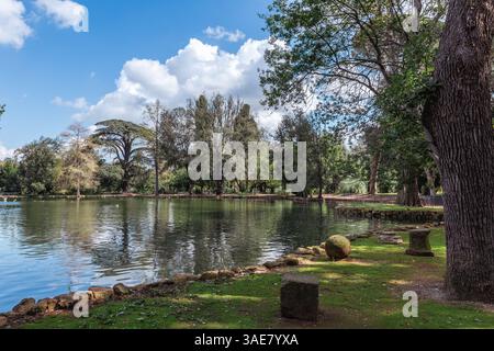 Autumn forest panorama with yellow leaves and small lake Stock Photo