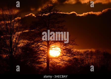 Beautyful dramatic sunset with a cloudy sky and trees in the foreground Stock Photo