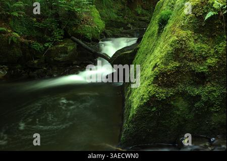 Melincourt Brook just below Melincourt Falls. Stock Photo