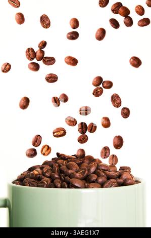 Roasted whole coffee beans floating on a white background above a green mug filled with with more beans Stock Photo