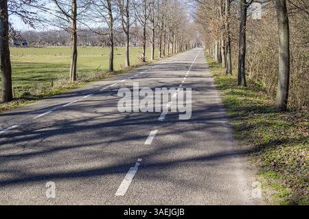 Paved road with dashed white lines passing between rows of trees and green fields in early spring Stock Photo