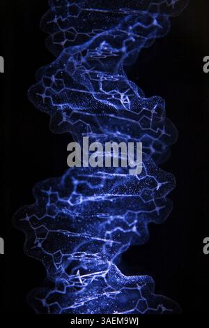 A 3D model of the DNA crystal structure, New York, USA, North America Stock Photo