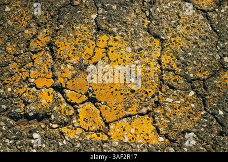 Worn yellow paint surface on cracked asphalt road, top view Stock Photo