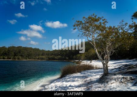Discovering Lake McKenzie: A Natural Gem on Fraser Island Stock Photo