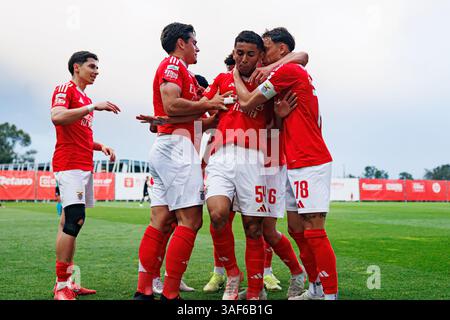 Academico Viseu players celebrating a goal during the Liga Portugal ...