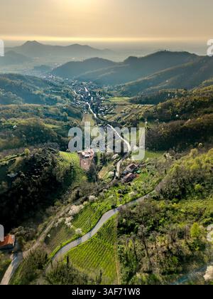 Aerial view of a winding serpentine road cutting through a dense forest ...