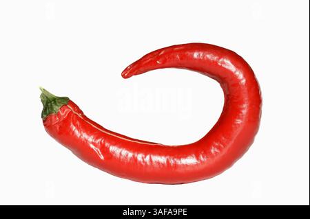 Chili Pepper (Capsicum frutescens) against white background | Chili oder Peperoni (Capsicum frutescens), Chilischote vor weißem Hintergrund Stock Photo