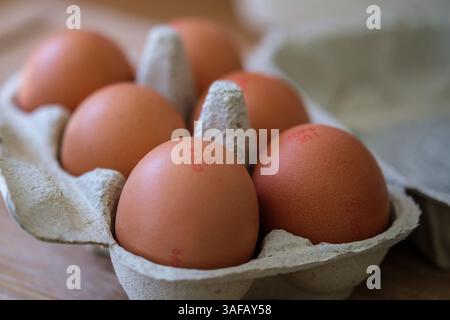 London UK, April 7 2025, Six Large Raw Free Range Eggs In Box With No People Stock Photo