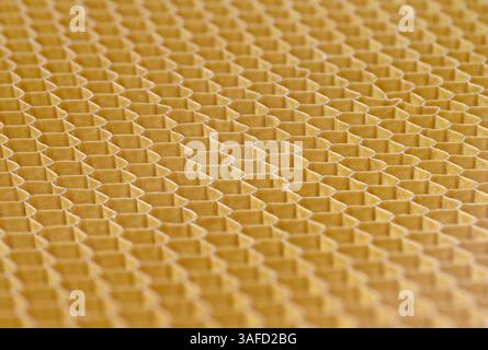 Hollow cells of honeycomb structure made of fiberglass or another composite material, close up shot, abstract industrial background Stock Photo