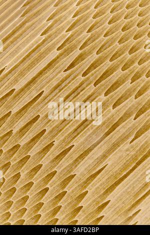Hollow cells of honeycomb structure made of fiberglass or another composite material, close up shot, abstract industrial background Stock Photo