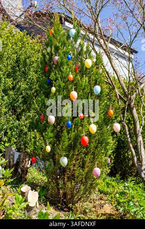 Easter tree decorated with colorful hanging eggs Stock Photo