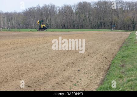 A yellow oil pumpjack on a vast agricultural field with a green border, surrounded by tall trees. Stock Photo