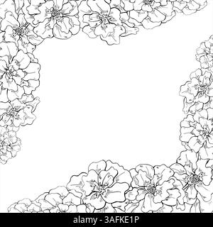 Marigold flower head vector square frame with empty space for text. Blooming calendula flowers etching drawing painted by black inks. Floral tagetes Stock Vector