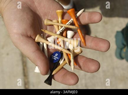 CAPTION: (06/21/2004--BEVERLY HILLS): Times reporter John Schwarb pulls out a hand full of golf tees from his bag while playing a round of golf at Twisted Oaks golf club in Beverly Hills Monday (Credit Image: St Petersburg Times/ZUMAPRESS.com) Stock Photo
