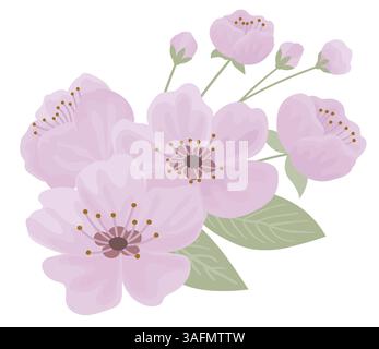 Spring cherry blooming flowers bouquet Stock Vector