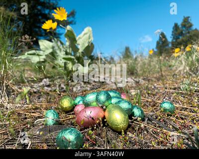 Low angle view of an assortment of tin foil covered chocolate Easter eggs in a wildflower covered meadow under a blue sky Stock Photo