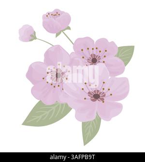 Spring cherry blooming flowers bouquet Stock Vector