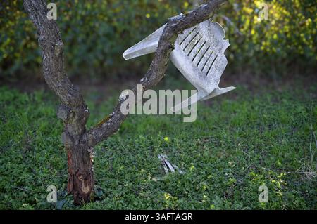 Monobloc seating furniture, chair, broken, defective, hanging in peach tree, Stuttgart, Baden-Wuerttemberg, Germany, Europe Stock Photo